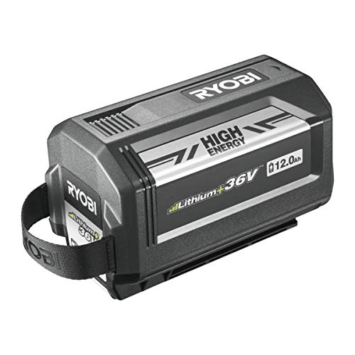 30 meilleurs Batterie Ryobi 36V triés sur le volet pour vous