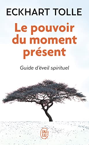 30 meilleurs Le Pouvoir Du Moment Present triés sur le volet pour vous