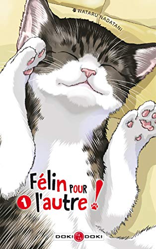 30 meilleurs Felin Pour L’Autre triés sur le volet pour vous