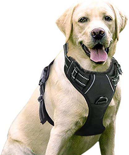 30 meilleurs Harnais Anti Traction Chien triés sur le volet pour vous