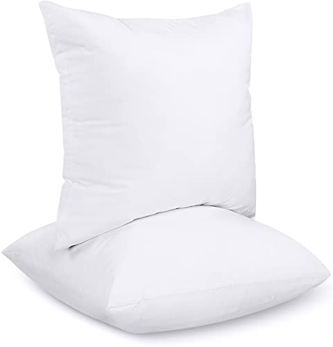 30 meilleurs Coussin De Lit triés sur le volet pour vous