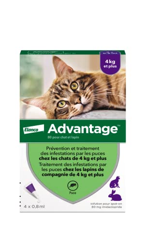 30 meilleurs Advantage Chat Plus De 4Kg triés sur le volet pour vous