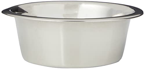 30 meilleurs Gamelle Chat Inox triés sur le volet pour vous