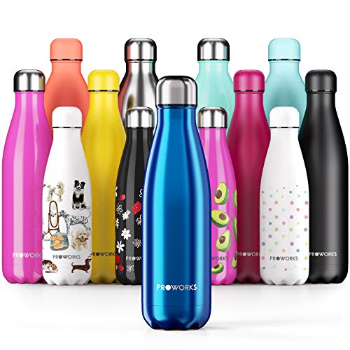 30 meilleurs Gourde Inox Isotherme triés sur le volet pour vous
