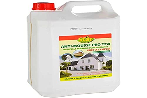 30 meilleurs Anti Mousse Terrasse triés sur le volet pour vous