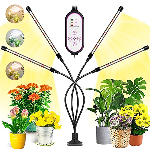 30 meilleurs Lampe Uv Plante triés sur le volet pour vous