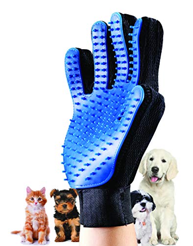 30 meilleurs Gant Pour Chat triés sur le volet pour vous