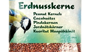 30 meilleurs Cacahuetes Pour Oiseaux triés sur le volet pour vous