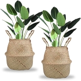 30 meilleurs Panier Jonc De Mer triés sur le volet pour vous