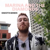 30 meilleurs Marina And The Diamonds triés sur le volet pour vous