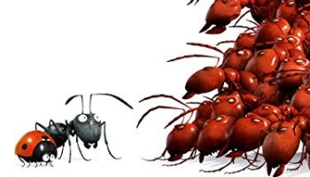 30 meilleurs Minuscule La Vallée Des Fourmis Perdues triés sur le volet pour vous