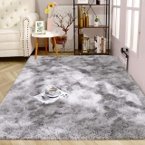 30 meilleurs Tapis Salon Moderne triés sur le volet pour vous
