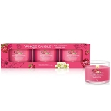 30 meilleurs Yankee Candle Votive triés sur le volet pour vous