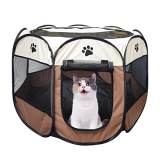 30 meilleurs Tente Pour Chat triés sur le volet pour vous