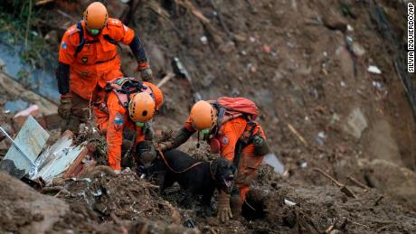 Les sauveteurs utilisent un chien renifleur pour rechercher des survivants.