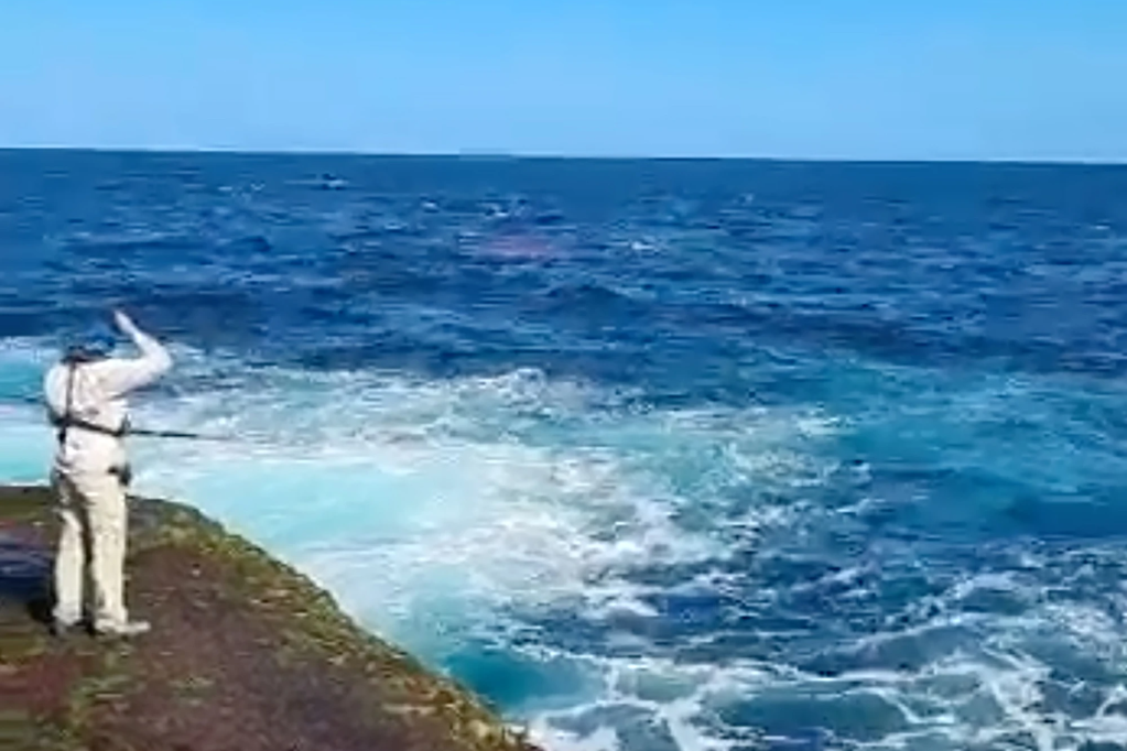 Un pêcheur regarde un nageur mangé à mort par un grand requin blanc mesurant 4,5 mètres de haut à Little Bay Beach à Sydney.