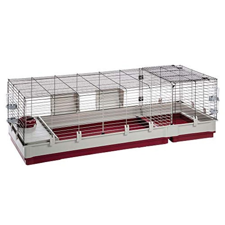 30 meilleurs Cage Pour Cochon D&rsquo;Inde triés sur le volet pour vous