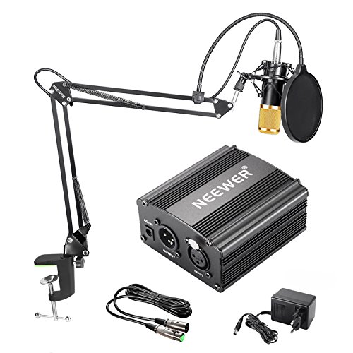 30 meilleurs Neewer Nw-800 triés sur le volet pour vous
