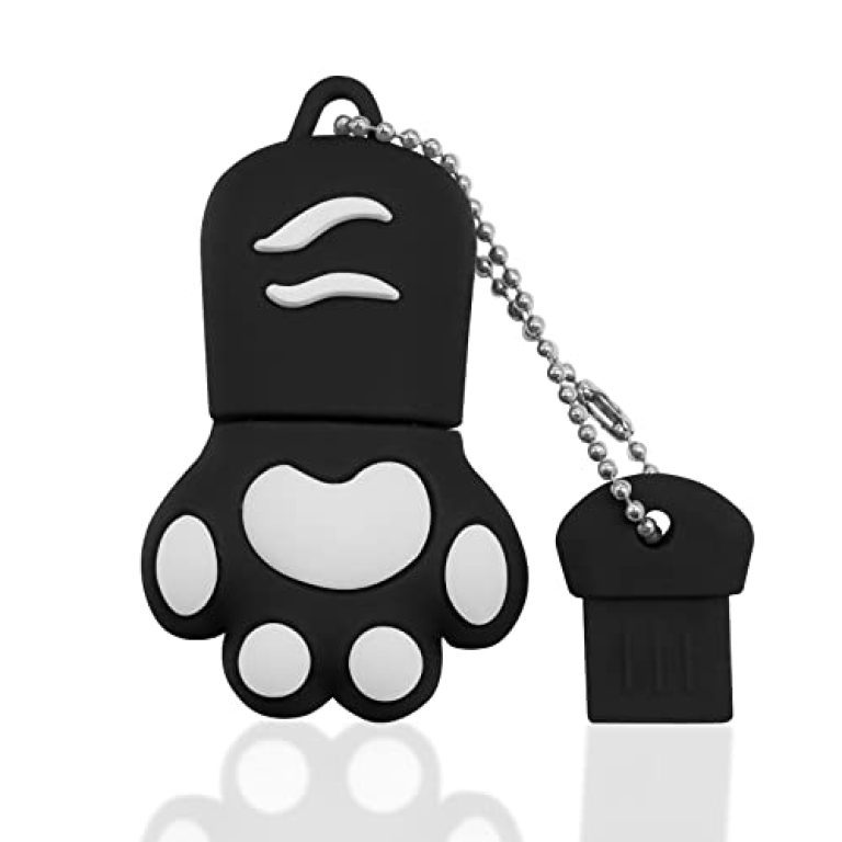 30 meilleurs Clé Usb Chat triés sur le volet pour vous