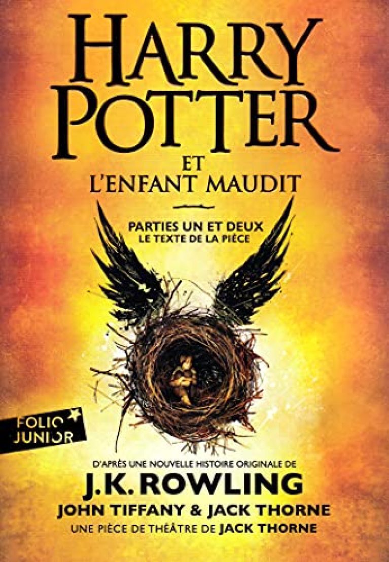 30 meilleurs Harry Potter Livre Folio Junior triés sur le volet pour vous