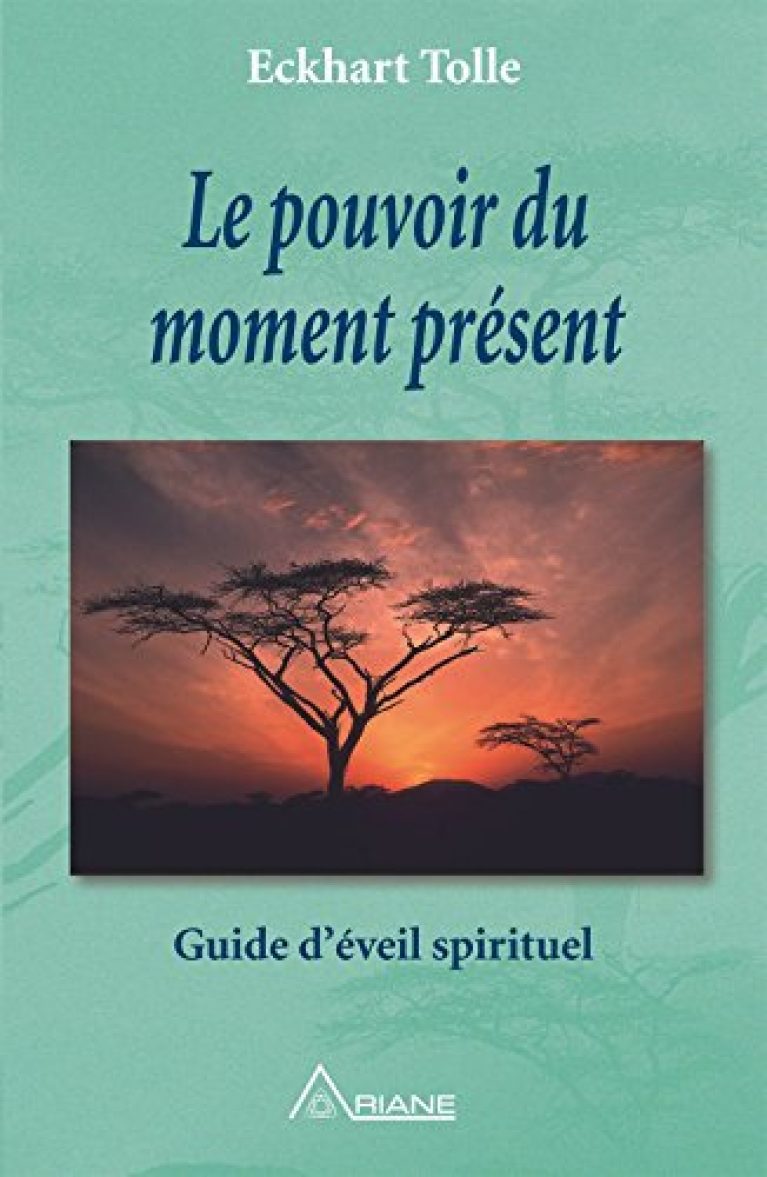 30 meilleurs Le Pouvoir Du Moment Présent triés sur le volet pour vous