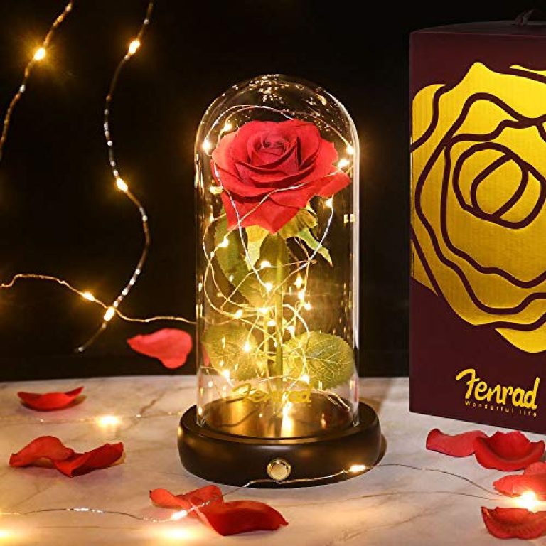 30 meilleurs Rose Belle Et La Bete triés sur le volet pour vous