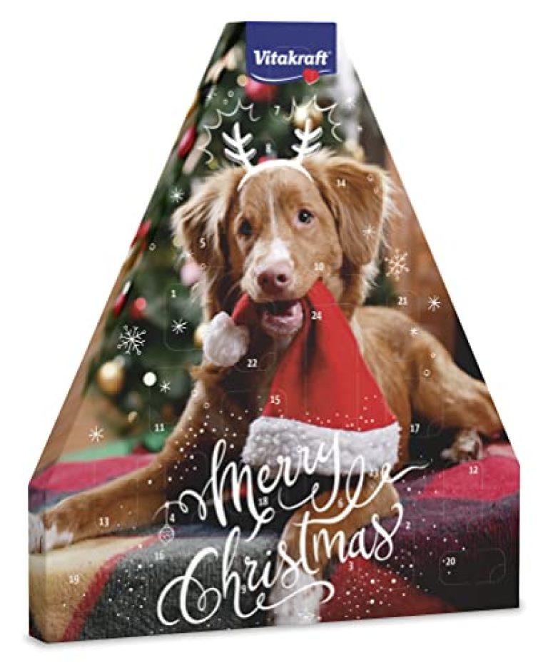 30 meilleurs Calendrier De L&rsquo;Avent Chien triés sur le volet pour vous