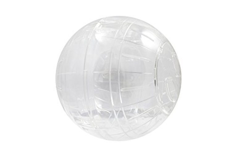 30 meilleurs Boule Pour Hamster triés sur le volet pour vous