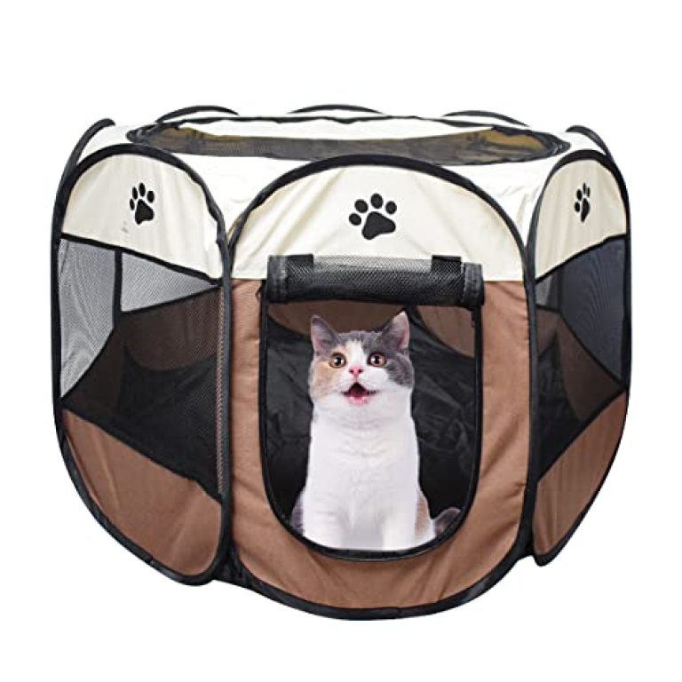 30 meilleurs Tente Pour Chat triés sur le volet pour vous